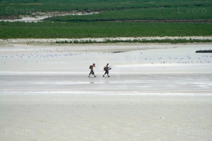 Pêcheurs dans la baie à marée basse.