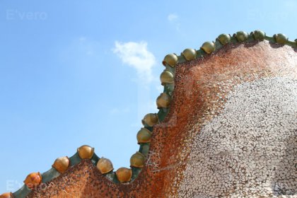 Le dragon, Casa Batllo, Barcelone